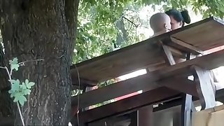 Couple fucking in a park
